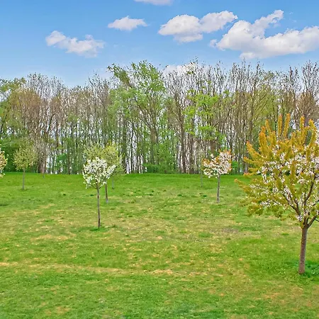 Ferienwohnung Klink 公寓